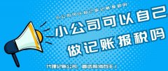 小公司可以自己做記賬報稅嗎,還是找專業的代理記賬公司？